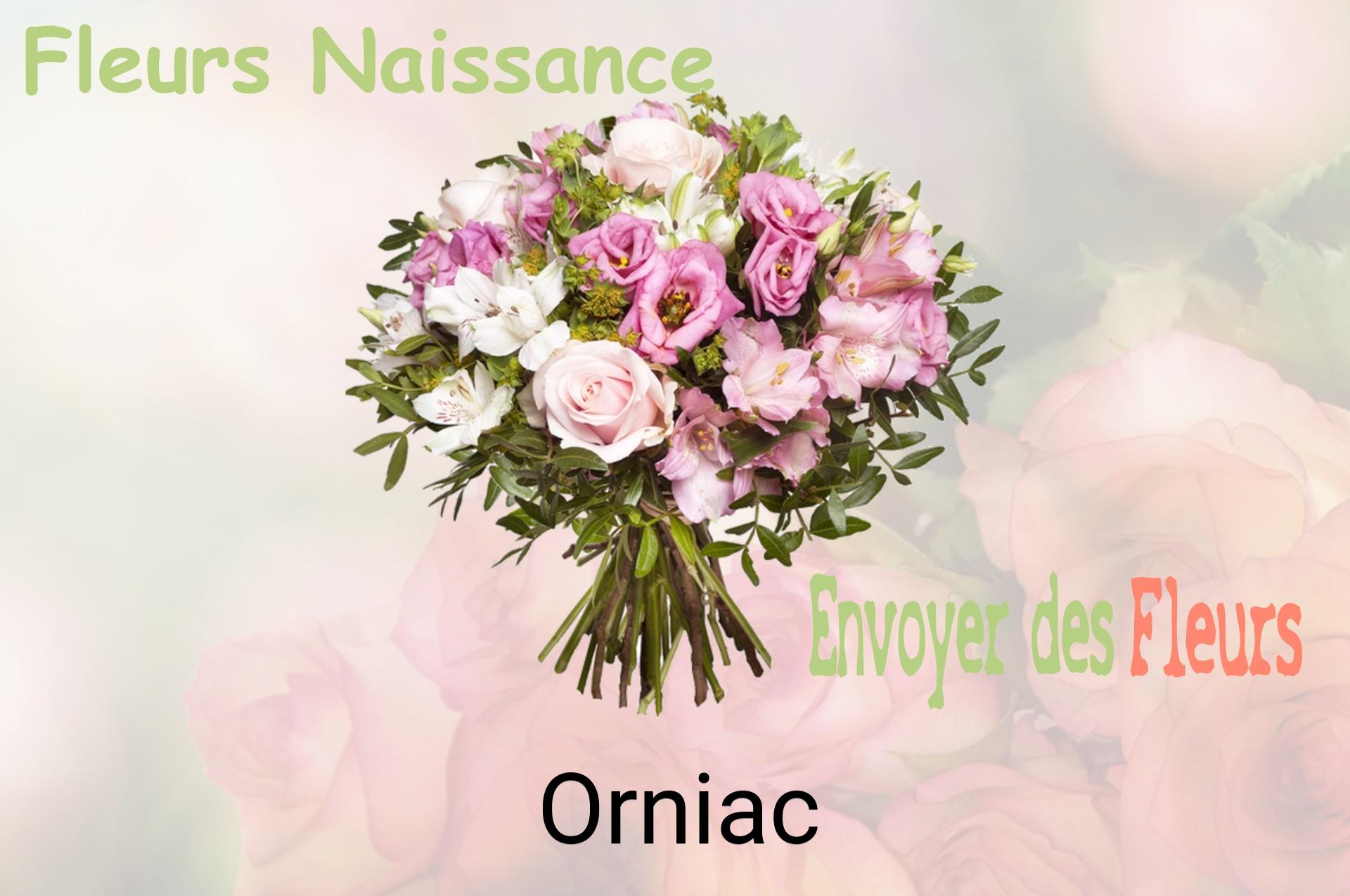 Bouquet de fleurs de naissance livré à Orniac