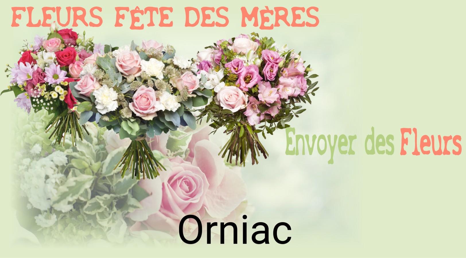 Bouquet de Fête des Mères livré à Orniac